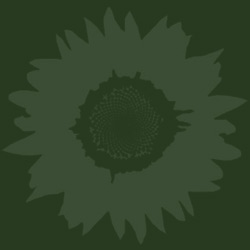 Condition and sculpt with natural hair care products.